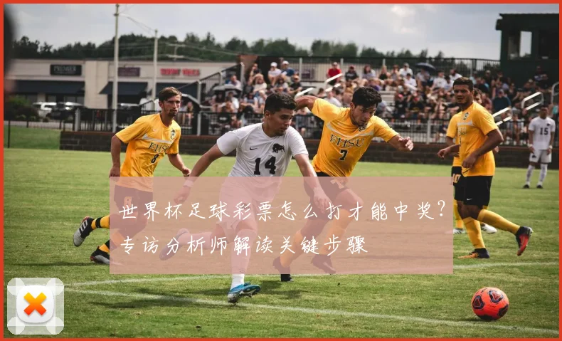 世界杯足球彩票怎么打才能中奖？专访分析师解读关键步骤
