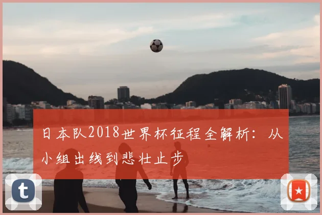 日本队2018世界杯征程全解析：从小组出线到悲壮止步