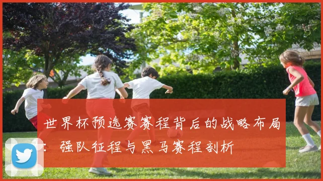 世界杯预选赛赛程背后的战略布局：强队征程与黑马赛程剖析