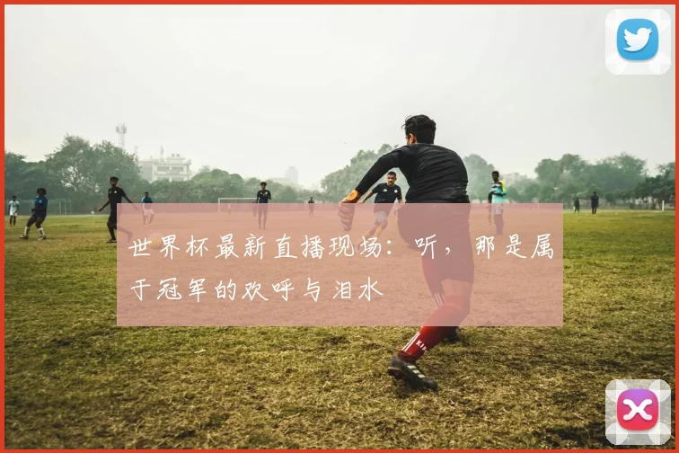 世界杯最新直播现场：听，那是属于冠军的欢呼与泪水
