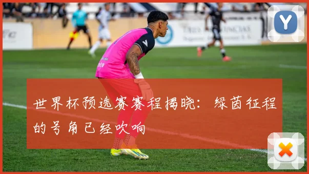 世界杯预选赛赛程揭晓：绿茵征程的号角已经吹响