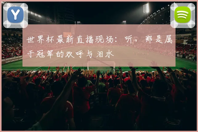 世界杯最新直播现场:听,那是属于冠军的欢呼与泪水