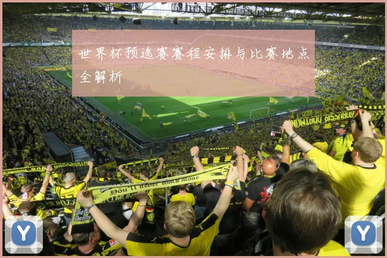 世界杯预选赛赛程安排与比赛地点全解析