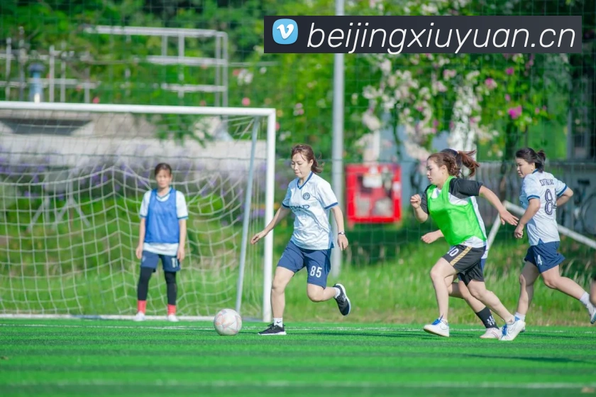 开云app官方下载苹果版APP 体育赛事宣传图